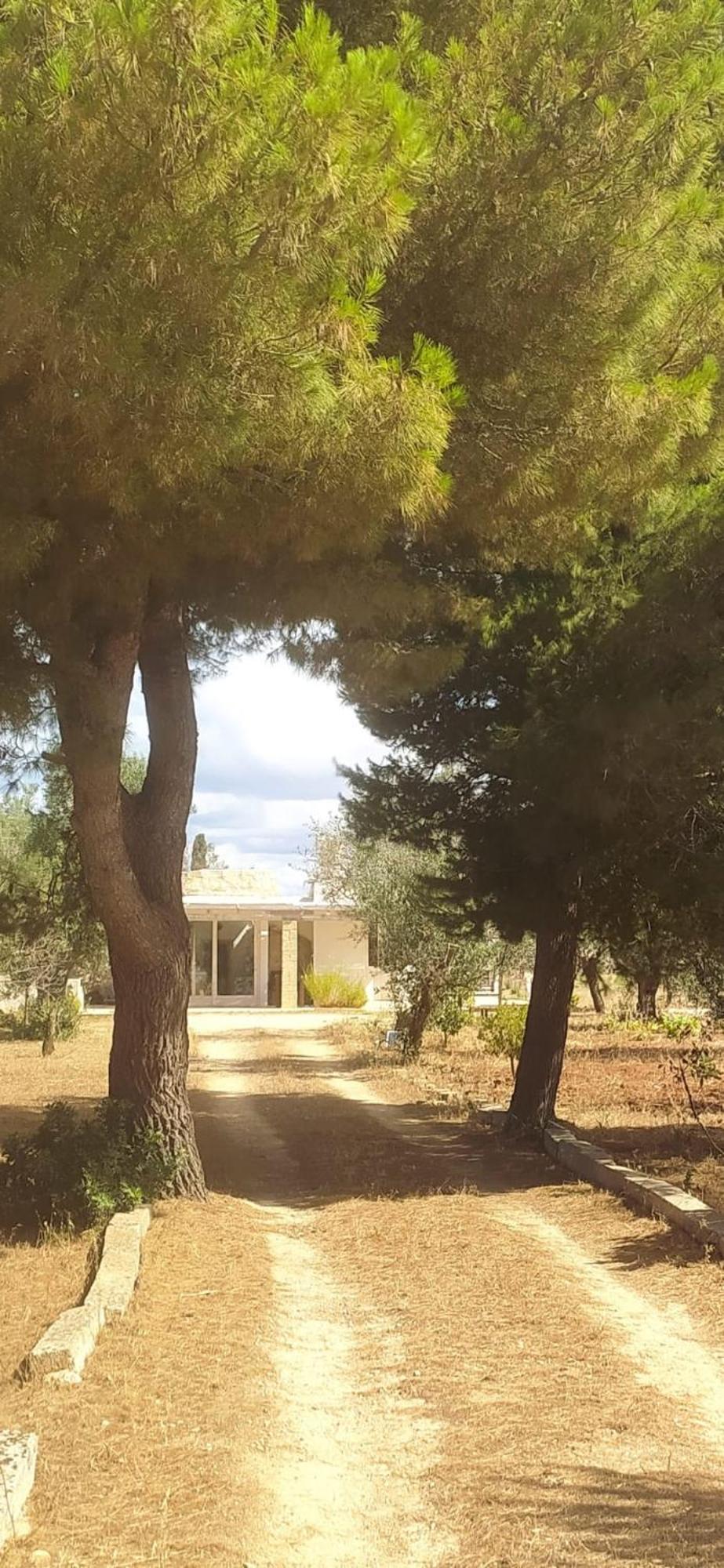 Apartamento Trullo Contrada Specchi Racale Exterior foto