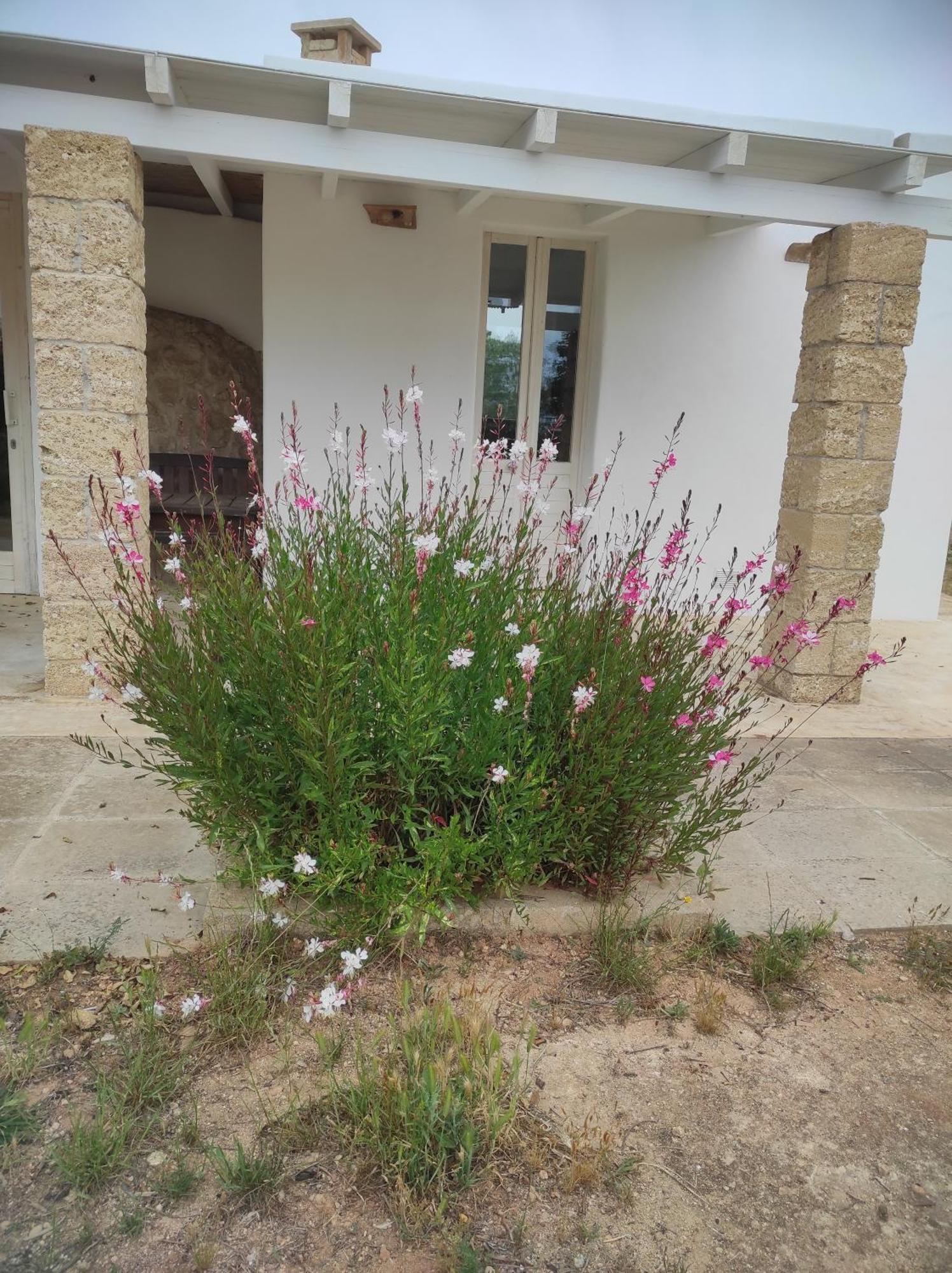 Apartamento Trullo Contrada Specchi Racale Exterior foto
