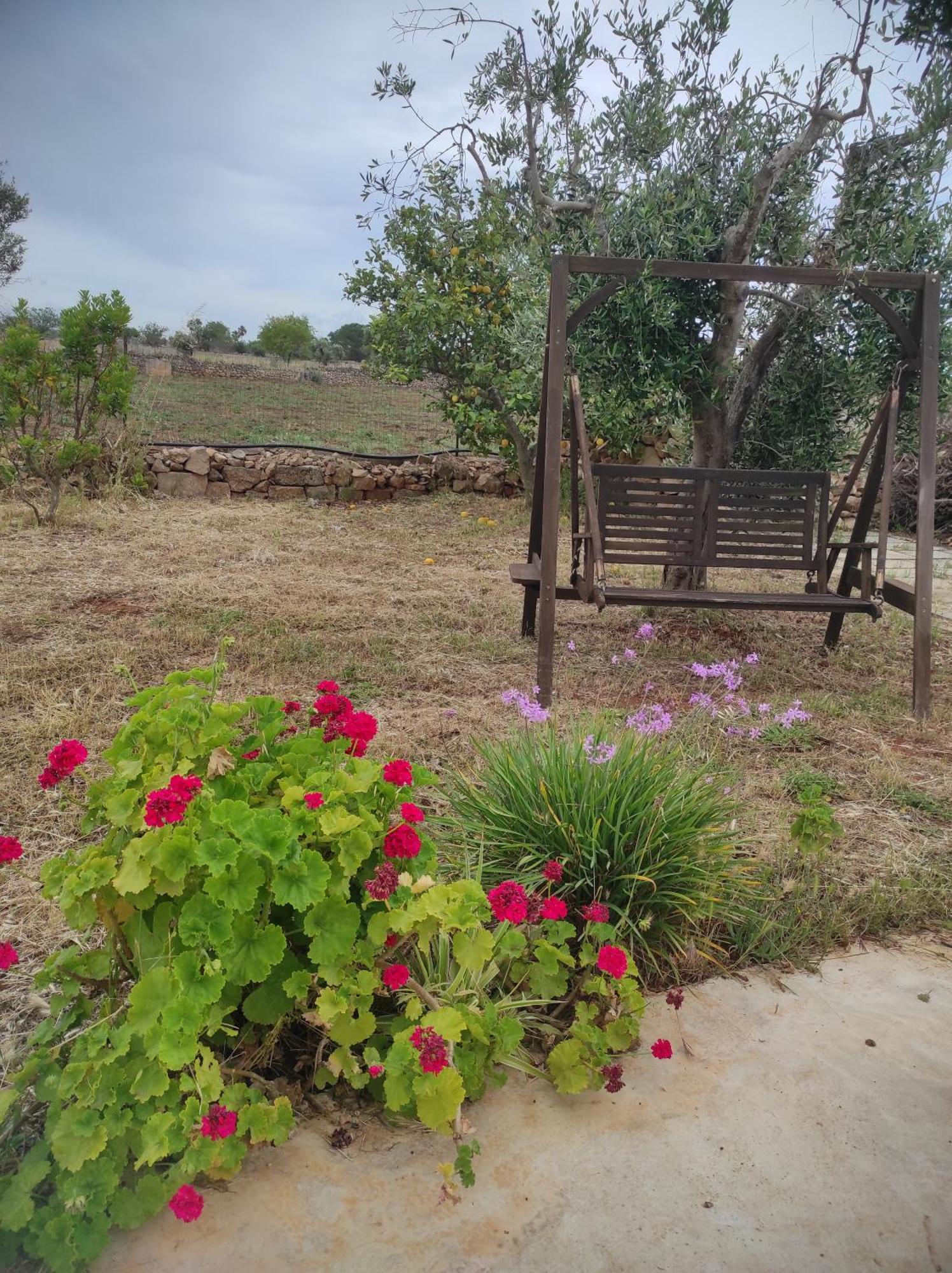 Apartamento Trullo Contrada Specchi Racale Exterior foto